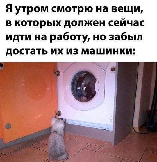 картинка a37752f699 1781329679