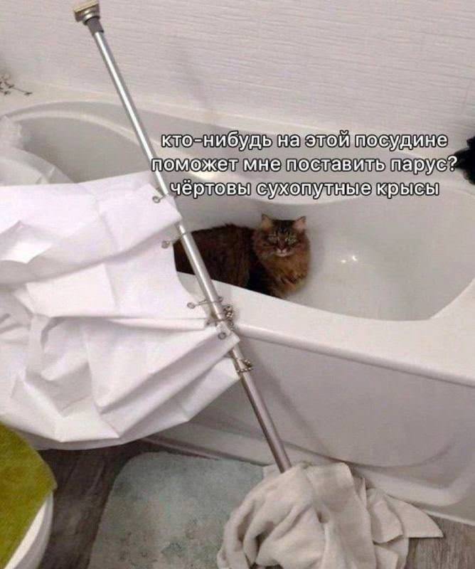 картинка a54c906dcf fejerverk smeha vasha porcija pozitiva 14