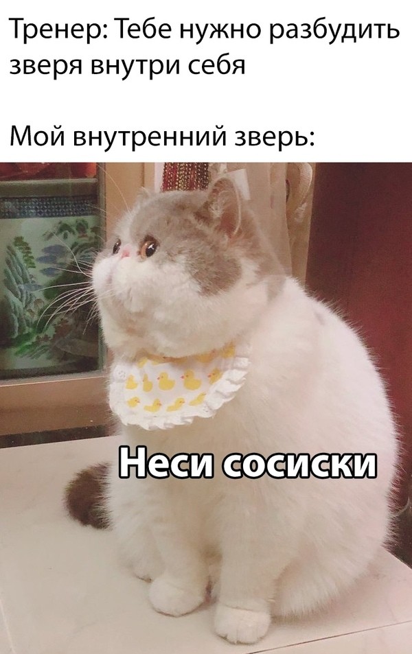 картинка ac40de746e otbornyj jumor memy i kartinki kotorye zastavjat vas smejatsja 12