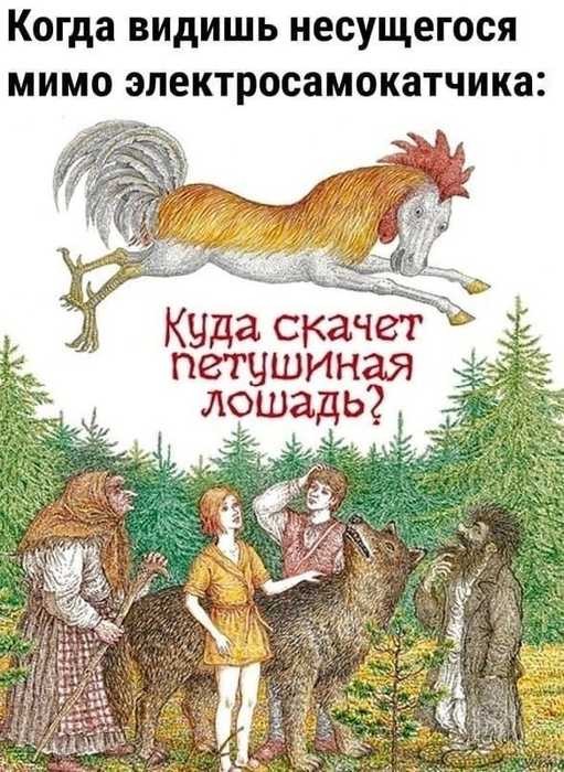 картинка ac7e875065 21003441