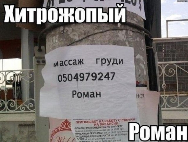 картинка ae0c4bb775 21001342