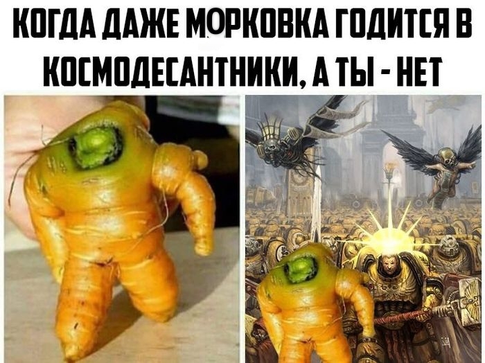 картинка afbce0db0c 000