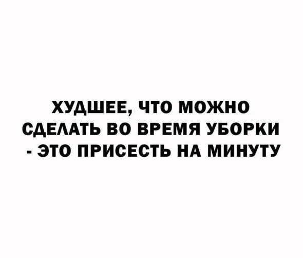 картинка b393992d2b 21019204