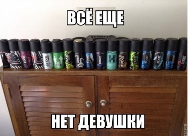картинка b3d5b03c4f 21083414