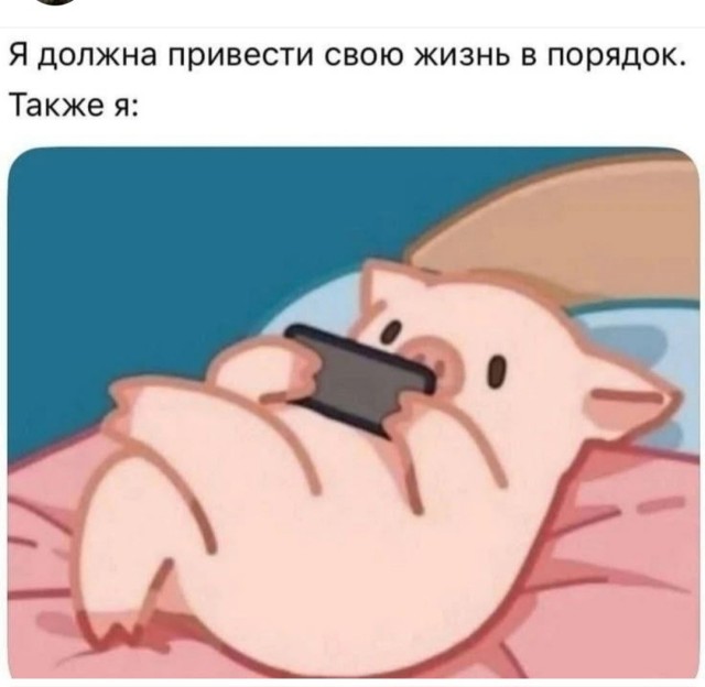 картинка b4133560eb 21003468