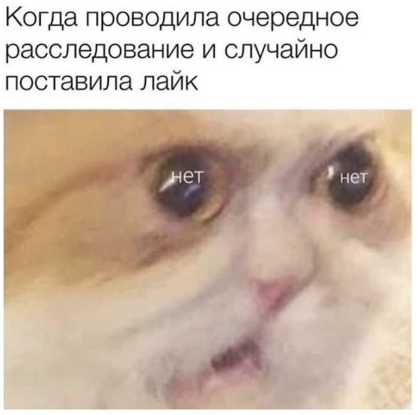 Забудьте о скуке! Новый сборник отборных мемов и картинок с надписями уже здесь, чтобы поднять вам настроение до небес! просто, которые, позитива, сборник, Устали, улучшает, получить, способ, идеальный, жизнь, делает, самочувствие, снимает, стресс, время, лекарство, лучшее, посмотретьПотому, стоит, Почему
