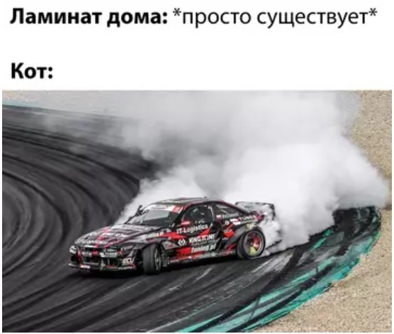 картинка b5609c6562 21031859
