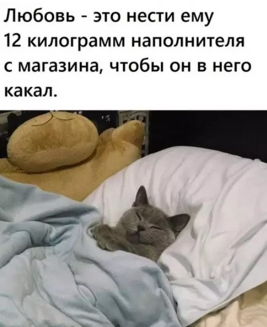 картинка ba611ab0f7 21031861
