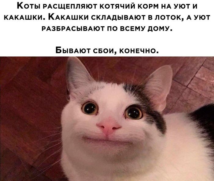 картинка baa44491cd ustali ot banalnosti hotite chego to poostree togda vam sjuda 10