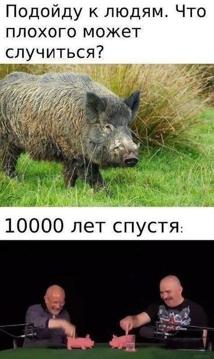 Забудьте о скуке! Новый сборник отборных мемов и картинок с надписями уже здесь, чтобы поднять вам настроение до небес! просто, которые, позитива, сборник, Устали, улучшает, получить, способ, идеальный, жизнь, делает, самочувствие, снимает, стресс, время, лекарство, лучшее, посмотретьПотому, стоит, Почему