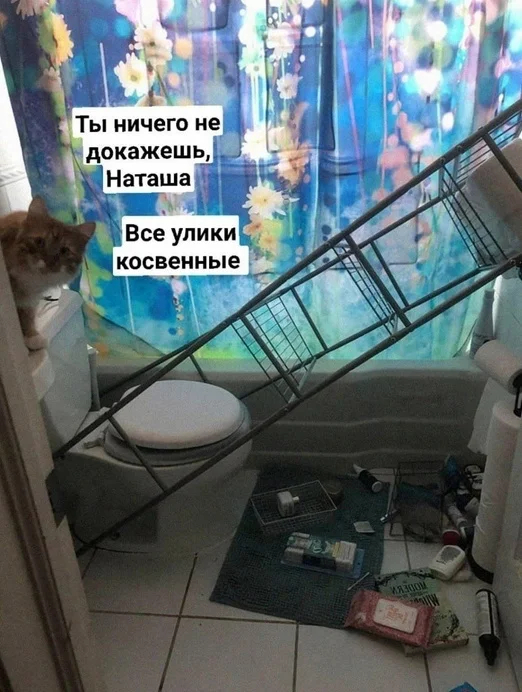 картинка be148927d9 otbornyj jumor memy i kartinki kotorye zastavjat vas smejatsja 8