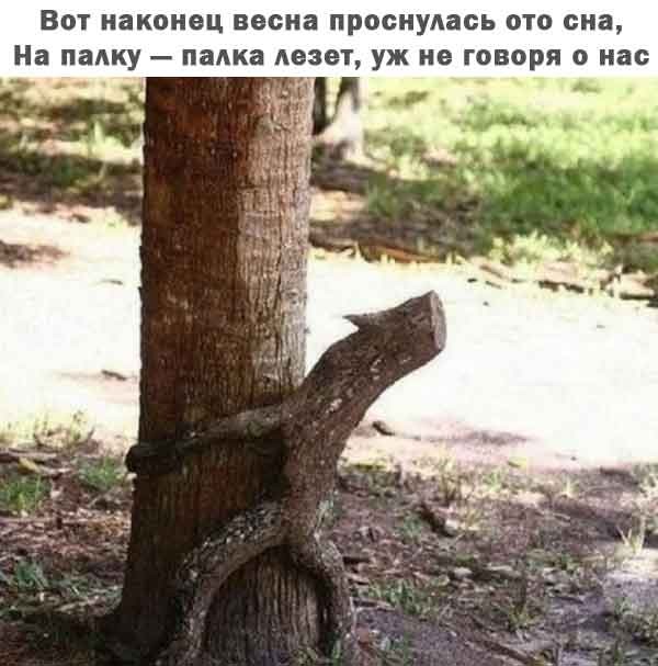 картинка be1ce2f894 21001405