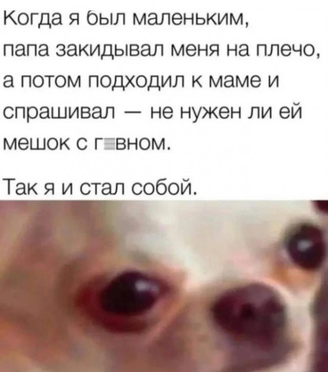 картинка c0a72c55d2 21083380