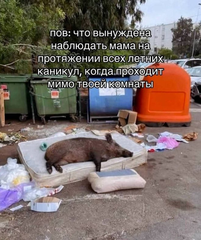 картинка c24eb51747 fejerverk smeha vasha porcija pozitiva 1