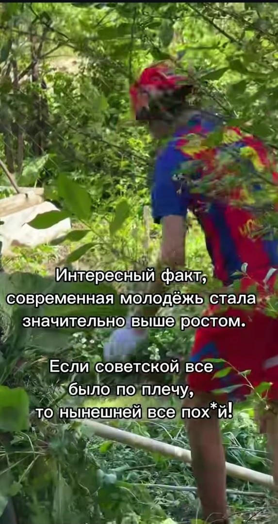 картинка c378bc7bc3 21032062