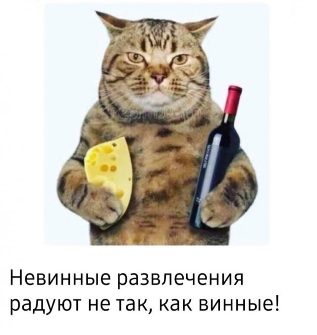 Поднимаем настроение: порция юмора, чтобы день стал чуточку светлее 😄 сейчас, собрали, появилась, улыбка, чтобы, картинок, забавных, мемов, шуток, свежих, адресу, хочется, точно, «срочно», «надо», забыть, минут, забот, отвлечься, выдохнуть