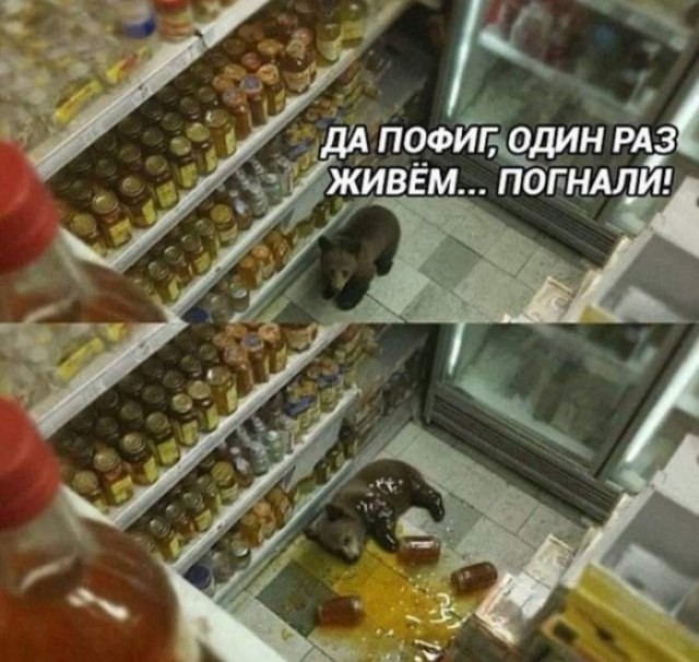 картинка c641dbba99 21013621