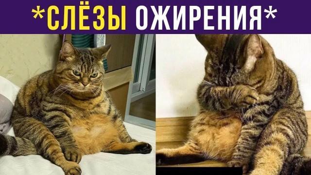 картинка c8386968b4 000000000