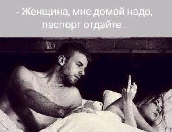 картинка c88d4c30a8 21019339