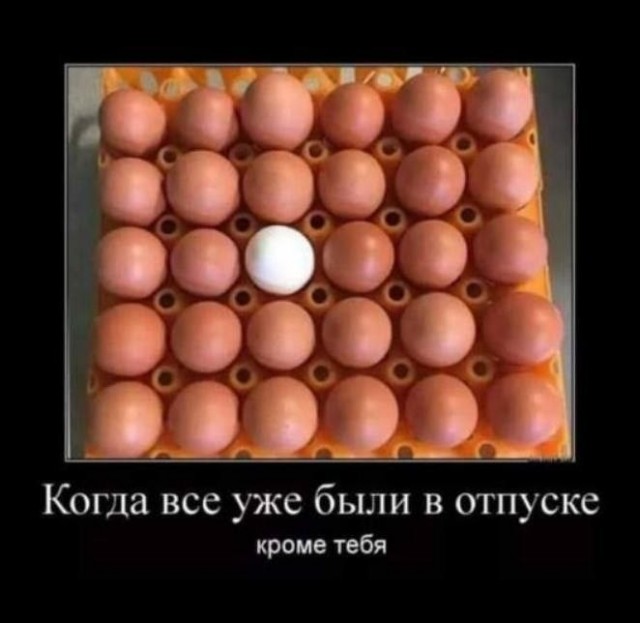 картинка c978e5c90f 21053466