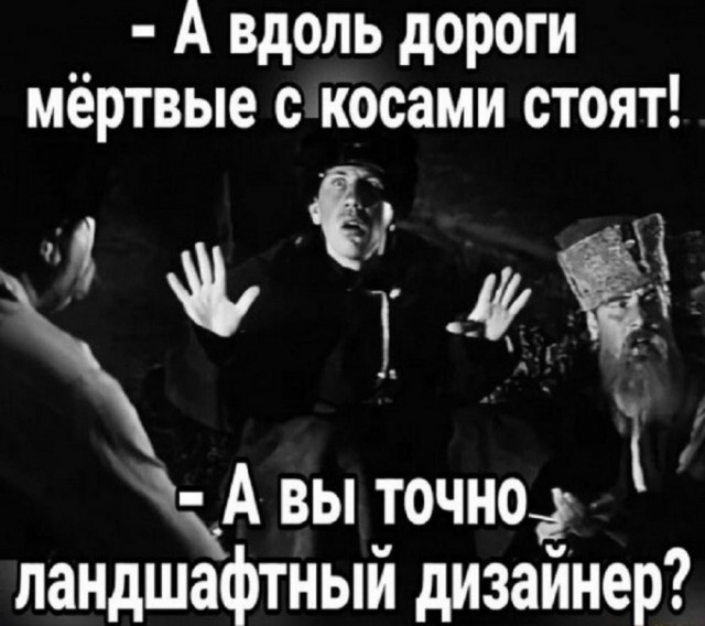 картинка ca15f4b45a 21003621