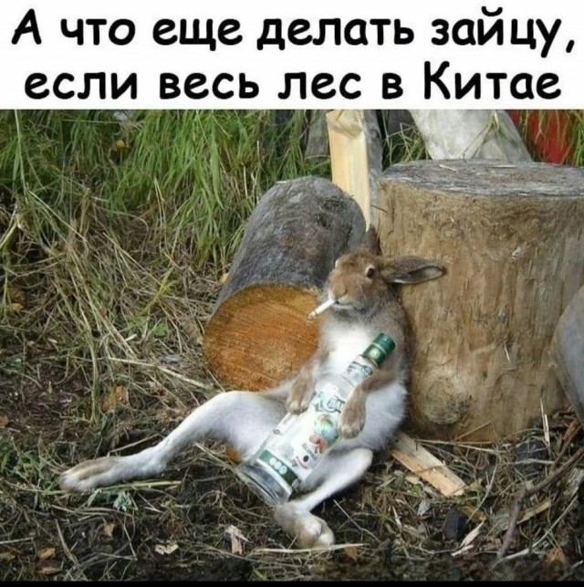 картинка ca18916711 20998909