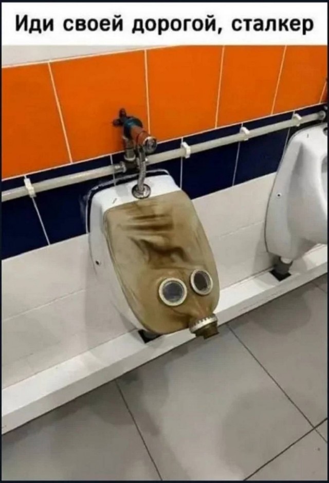 картинка ca1dfde131 21019002