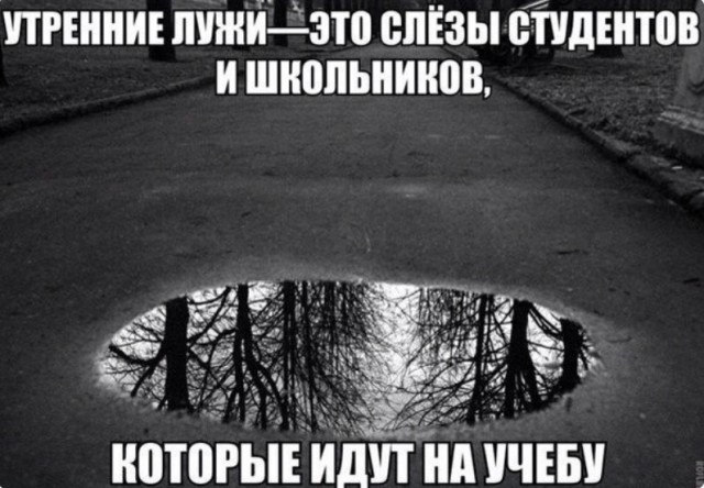 картинка ca59cf5680 21044161