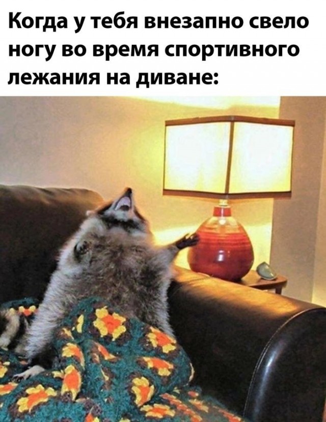 картинка ca6607b905 21045217