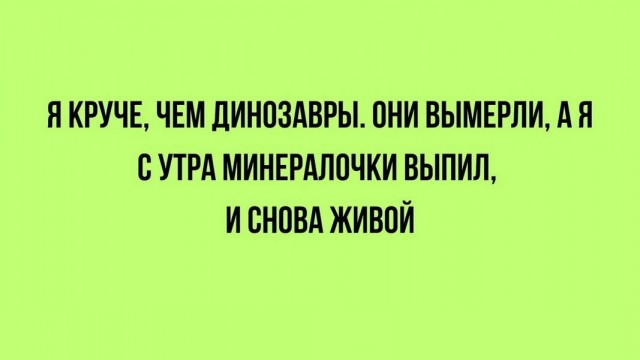 картинка d1e6b06128 21045554
