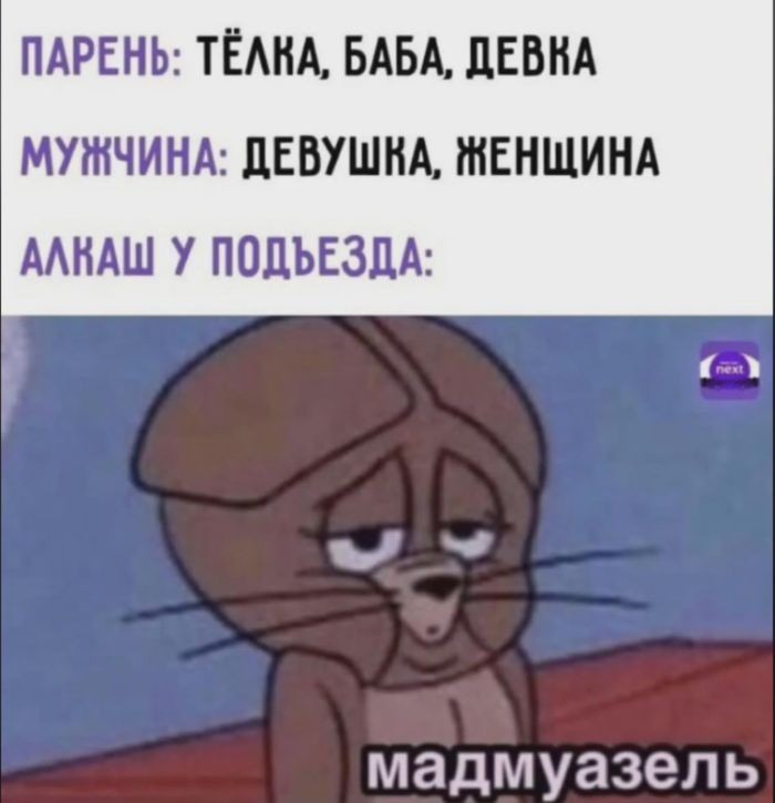 картинка d22358da2d novyj sbornik memov zarjad pozitiva na ves den 2