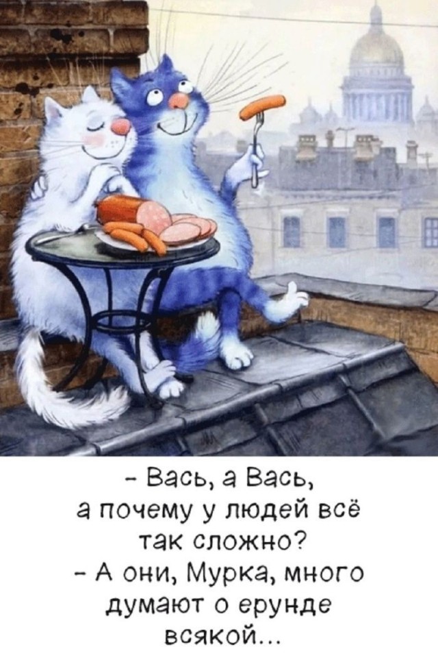 картинка d2a3936971 21001396
