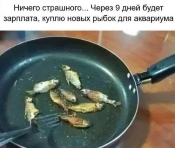 Забудьте о скуке! Новый сборник отборных мемов и картинок с надписями уже здесь, чтобы поднять вам настроение до небес! просто, которые, позитива, сборник, Устали, улучшает, получить, способ, идеальный, жизнь, делает, самочувствие, снимает, стресс, время, лекарство, лучшее, посмотретьПотому, стоит, Почему