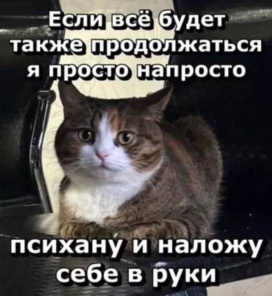 картинка d3faeccfd5 novyj sbornik samyh smeshnyh memov zarjazhaemsja pozitivom 18