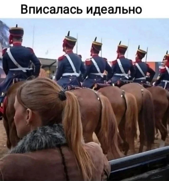 картинка d4154c00e0 ustali ot budnej my znaem kak vam pomoch predstavljaem nash svezhij sbornik prikolov 11