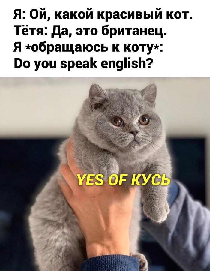 картинка d88c637d57 00000000000000000000000