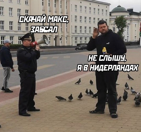 картинка d8ef40d063 21003401