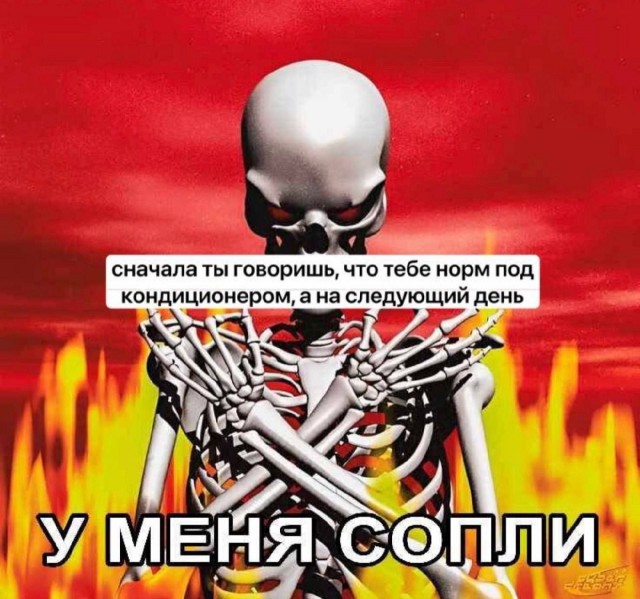 картинка d909b69bc0 21019238