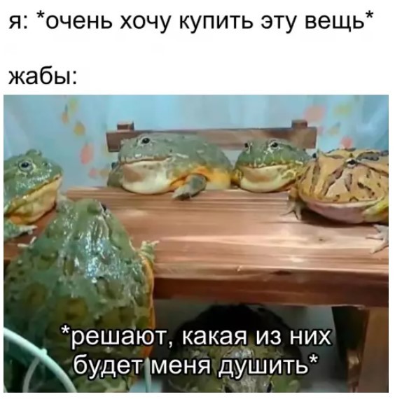 картинка dbad4d22dd 21018827