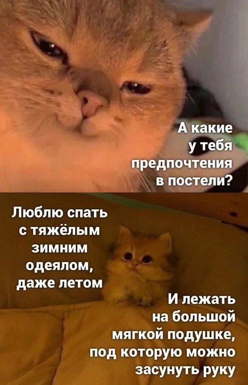 картинка dce66ebfa9 1781619440