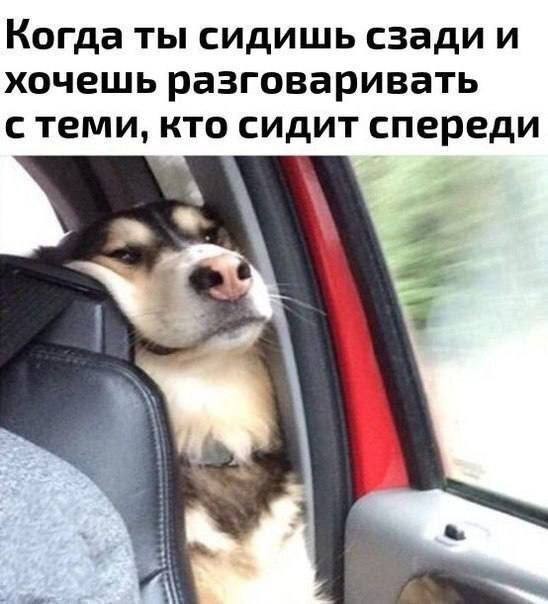 картинка e1153ea7d6 21045470