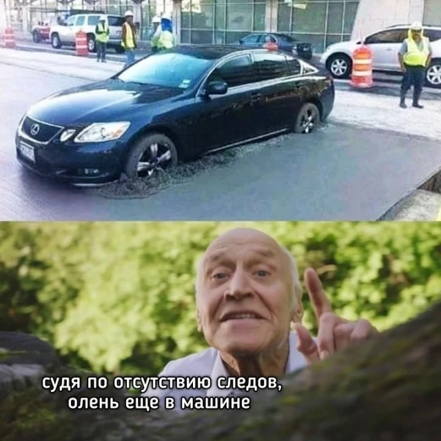картинка e3da1c6390 21045793