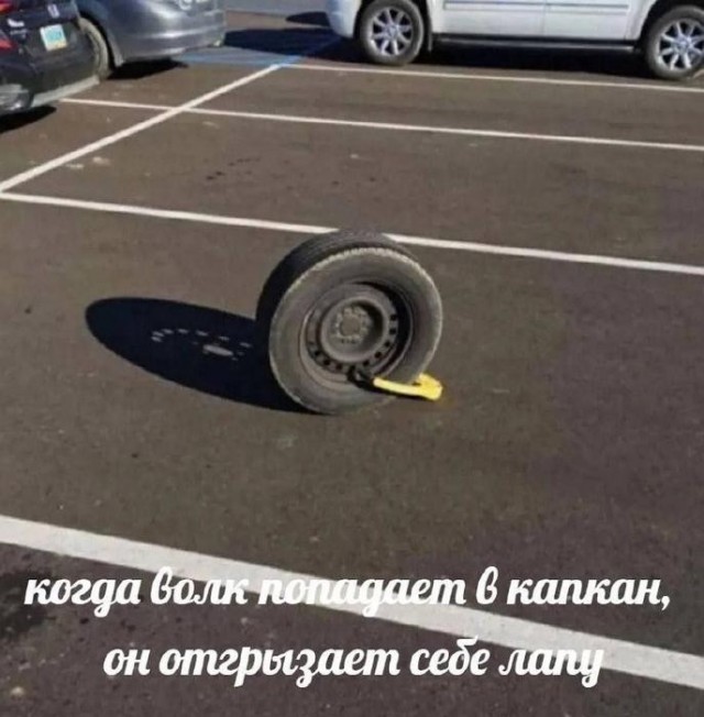 Забудьте о скуке! Новый сборник отборных мемов и картинок с надписями уже здесь, чтобы поднять вам настроение до небес! просто, которые, позитива, сборник, Устали, улучшает, получить, способ, идеальный, жизнь, делает, самочувствие, снимает, стресс, время, лекарство, лучшее, посмотретьПотому, стоит, Почему