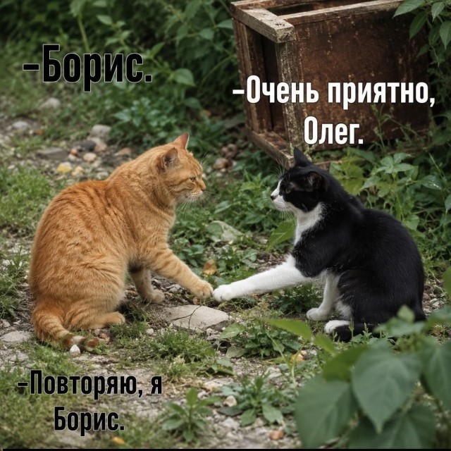 картинка e4c53b8ac9 21032764