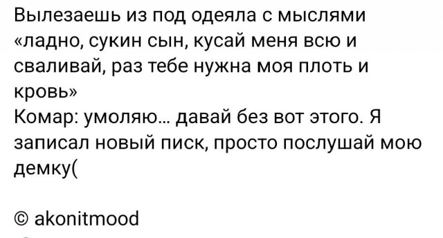 картинка e5426ecff0 21032613