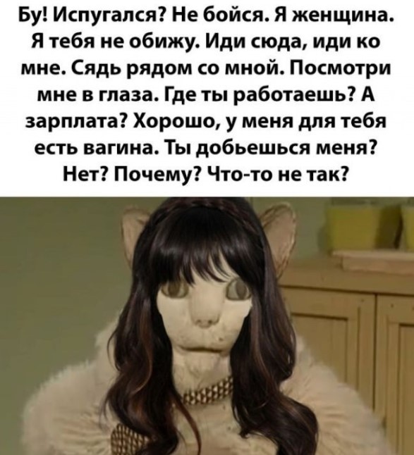 картинка e5954349a9 21044149