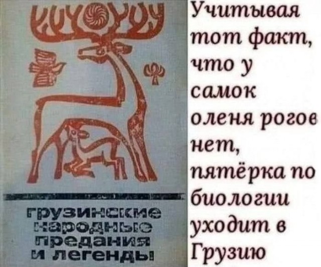 картинка e803b3fc5c 21001960