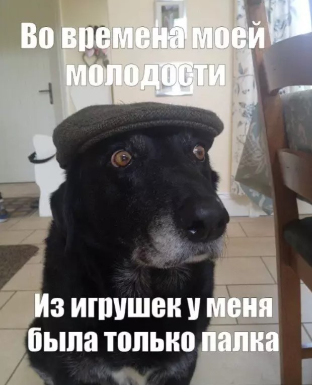 картинка e8ce9983d2 ostorozhno kontent mozhet vyzvat nekontroliruemyj smeh i legkoe chuvstvo viny 1