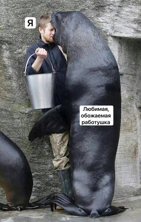 картинка e9219d57c2 pjatnica uzhe blizko lovite porciju pozitiva i smeha 17