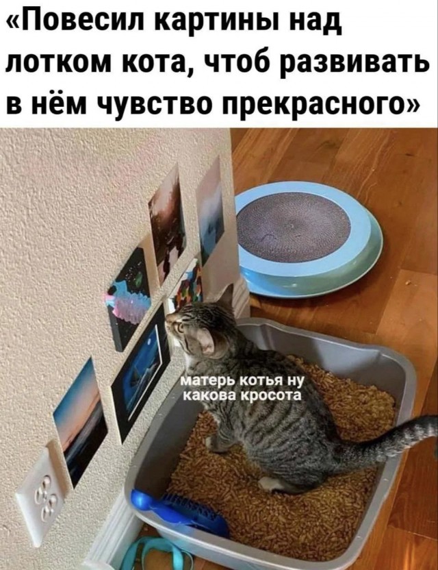 картинка eb19585550 21033190